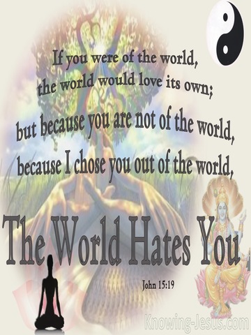 John 15:19 You Are Not Of This World (brown)